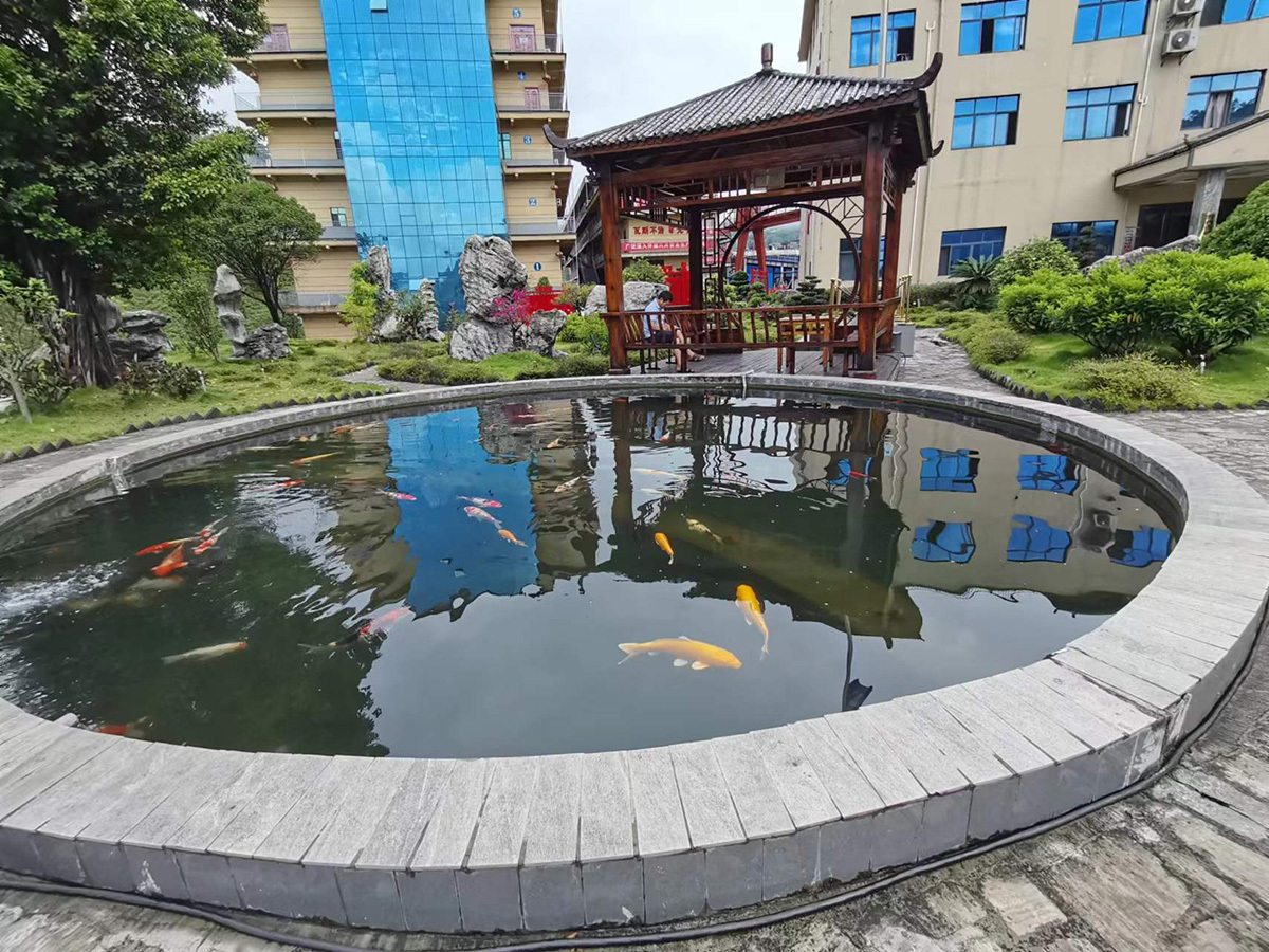 集团环境一角